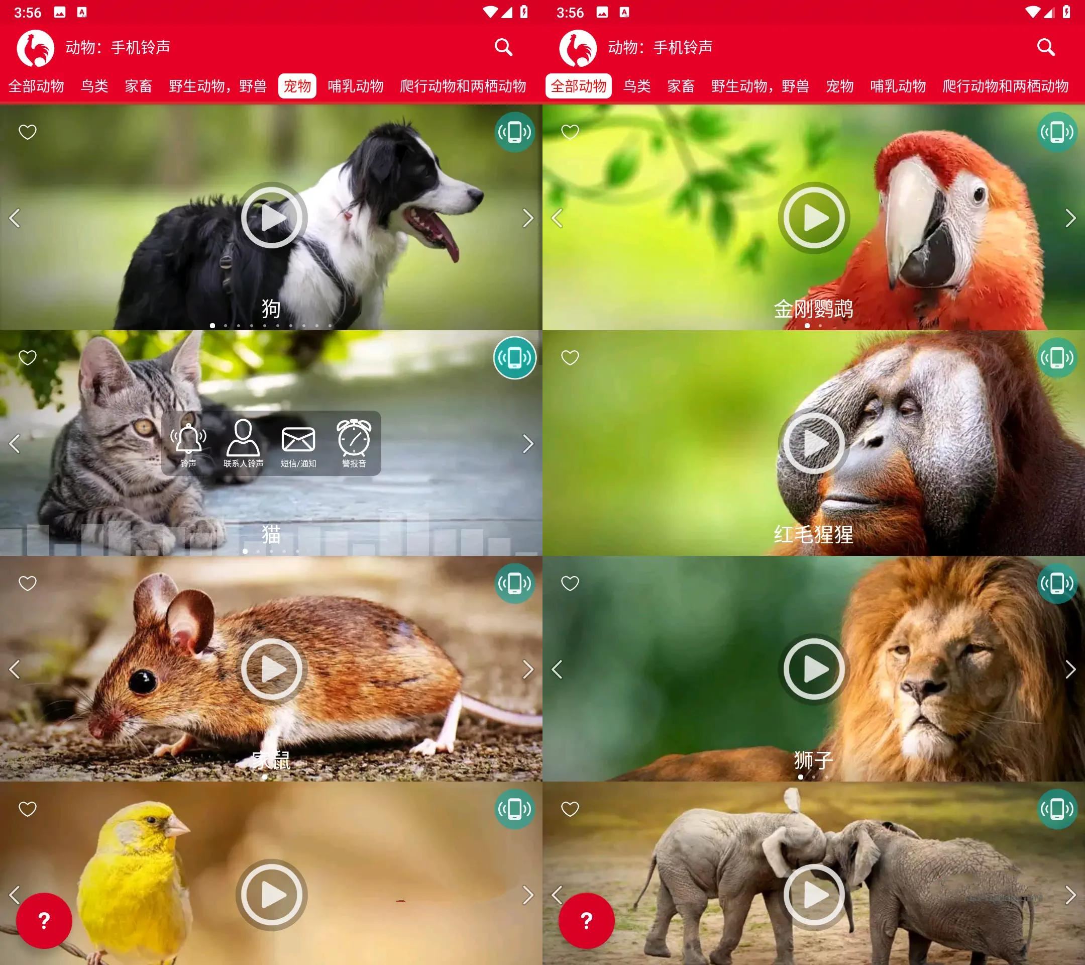 安卓动物手机铃声v18.0高级版/享受大自然